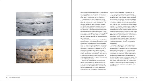 The Hot Shoe Diaries