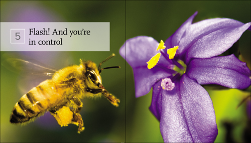 Photographing Nature